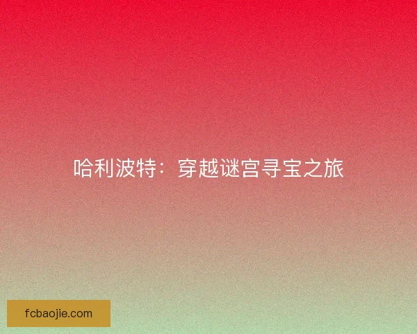 哈利波特：穿越谜宫寻宝之旅